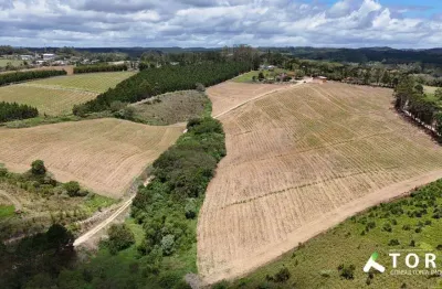 Chácara / sítio à venda na Rua Manoel Fogaça, 10000, Centro, São Miguel Arcanjo