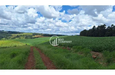 Fazenda com 3 dormitórios à venda, 2150000 m² por r$ 15.000.000,00 - área rural  - goioxim/pr