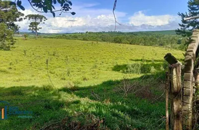 Chácara / sítio com 1 quarto à venda na ÁRea Rural, Zona Rural, Fernandes Pinheiro