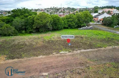 Terreno à venda, 390 m² por R$ 175.891,50 - Rio Bonito - Irati/PR