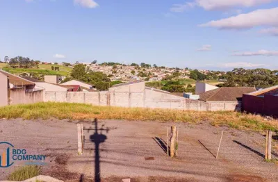 Terreno à venda, 363 m² por R$ 265.000,00 - Colônia Dona Luiza - Ponta Grossa/PR