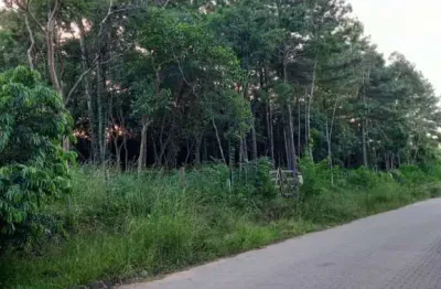 Terreno à venda na rua alberto adolpho fruchtenicht, 5, campestre, são leopoldo por r$ 132.000
