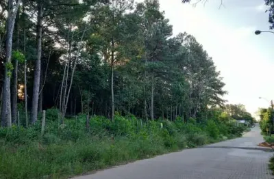 Terreno à venda na rua alberto adolpho fruchtenicht, 7, campestre, são leopoldo por r$ 137.000