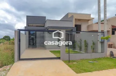 Casa moderna com piscina e pé-direito alto no jardim brasil  eucaliptos