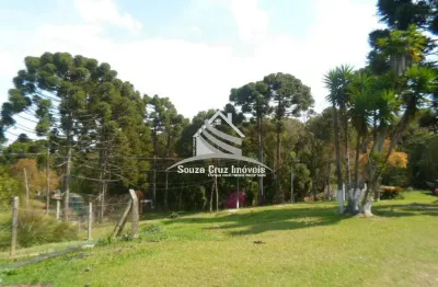 Excelente Área Rural para Investimento ao Lado de Curitiba.
