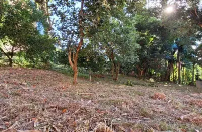 Terreno à venda na rua joaquim caetano, centro, novo hamburgo por r$ 1.170.000