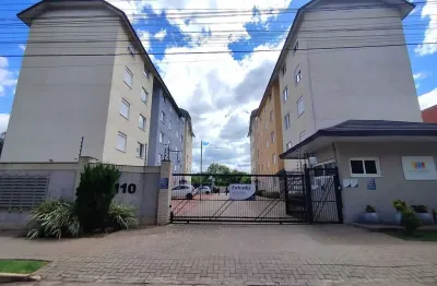 Apartamento com 2 quartos para alugar no Ouro Branco, Novo Hamburgo 