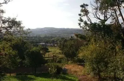 Terreno à venda na Estrada Cristiano Kraemer, --, Vila Nova, Porto Alegre
