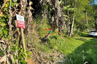 Chácara / sítio à venda na Avenida Coronel Raimundo Vasconcelos, 450, Centro, Pedro de Toledo