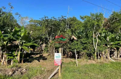 Chácara / sítio à venda na Avenida Coronel Raimundo Vasconcelos, 450, Centro, Itariri