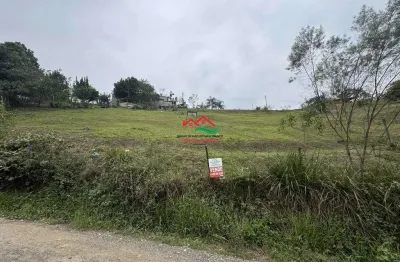 Chácara / sítio à venda na Avenida Coronel Raimundo Vasconcelos, 450, Centro, Pedro de Toledo