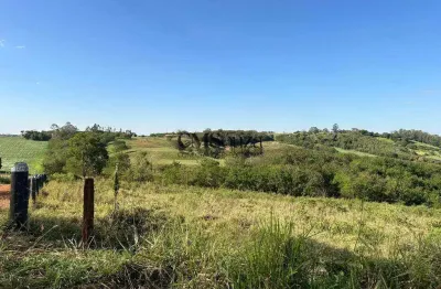 Terreno à venda na Estrada Dos Piriquitos, --, Aeroporto, Londrina