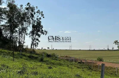 Terreno à venda na Estrada Dos Piriquitos, --, Aeroporto, Londrina