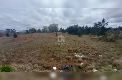 Terreno à venda na Avenida Jacob Macanhan, 2430, Alto Tarumã, Pinhais por R$ 44.000.000