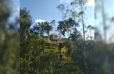 Chácara / sítio à venda na BR 116, km, Zona Rural, Campina Grande do Sul por R$ 1.649.000