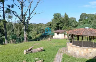 Chácara / sítio com 3 quartos à venda na estrada da ribeira br-476, 1113, capivari, colombo, 200 m2 por r$ 2.500.000