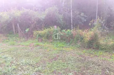 Chácara / sítio à venda no centro, morretes  por r$ 200.000