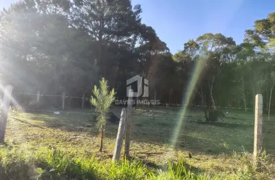 Chácara / sítio à venda na Avenida São Paulo, Jardim dos Estados 1, Piraquara, 27000 m2 por R$ 1.350.000