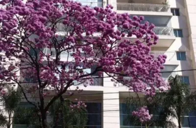 Imperdível oportunidade: apartamento à venda em pinheiros, sp - 3 quartos, 1 suíte, 2 vagas de garagem!