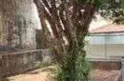 Casa térrea próximo ao metro parada inglesa zona norte sp