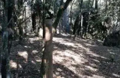 Terreno à venda no Laranjeiras, Caieiras 
