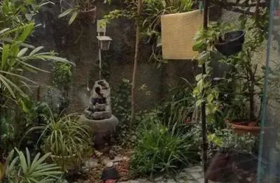 Casa à venda no bairro vila amália (zona norte) - são paulo/sp