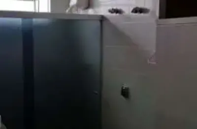Casa com 3 quartos à venda na Vila Paulicéia, São Paulo 