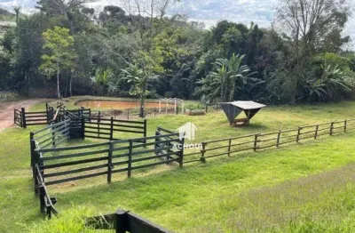 Haras regiao de londrina - estrutura e lazer completo