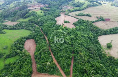 Chácara / sítio à venda no Rio Do Salto, Cascavel 