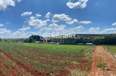 Chácara / sítio à venda no Floresta, Cascavel 
