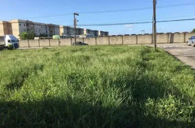 Terreno comercial para alugar na Avenida Ministro Luiz Gallotti, 364, Cidade Nova, Itajaí