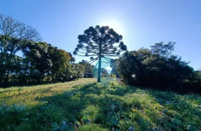 Terreno à venda, 19271 m² por r$ 700.000,00 - avencal - são josé dos pinhais/pr
