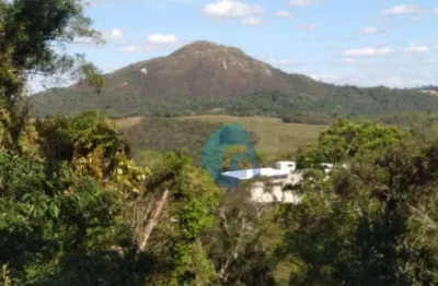 Chácara à venda, 20000 m² por r$ 150.000,00 - felpudo - campo largo/pr