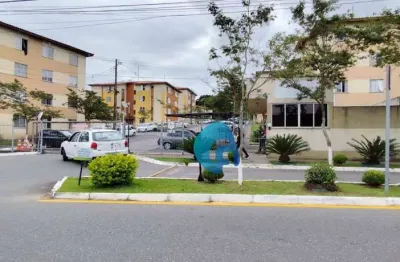 Apartamento com 2 dormitórios para alugar, Braga - São José dos Pinhais/PR