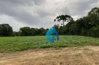 Chácara à venda, 20148 m² por r$ 700.000,00 - felpudo - campo largo/pr