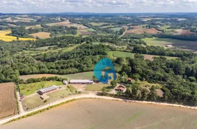 Chácara com 7 dormitórios à venda, 31000 m² por r$ 2.299.000,00 - avencal - são josé dos pinhais/pr