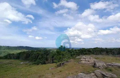 Chácara à venda, 20000 m² por r$ 990.000,00 - são luiz do purunã - balsa nova/pr