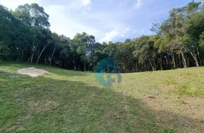 Chácara à venda, 20000 m² por r$ 599.000,00 - zona rural - balsa nova/pr