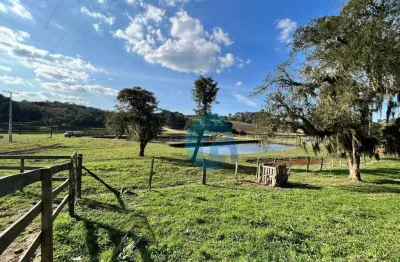 Fazenda com 5 dormitórios à venda, 968000 m² por r$ 20.000.000 - avencal - são josé dos pinhais/pr