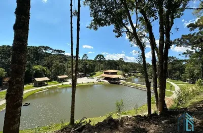Chácara linda, açude grande, poço artesiano, 150 metros do asfalto, em campina grande do sul, pr