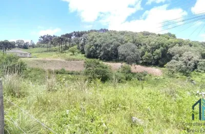 Terreno/área a venda, 20 hectares em são roque, flores da cunha rs
