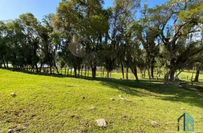(permuta) chácara em contenda pr, com 02 casas, estrada toda asfaltada a 20min, no centro de araucária.