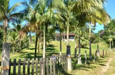 Chácara/sítio, propriedade produtiva, 30 hectares com plantação de palmito pupunha, em guaratuba pr