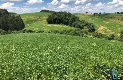 Área a venda terreno rural para plantio e chácara na lapa paraná