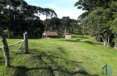 Chácara / sítio à venda no Bugre, Balsa Nova 