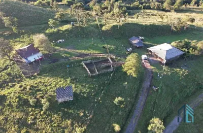 Chácara com 02 casas bem localizada, apenas 70km de curitiba em campina grande do sul pr