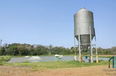 Sítio produtivo de 5 alqueires, 7 tanques, em são miguel do iguaçu pr