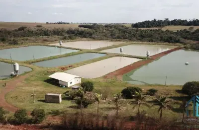 Sítio produtivo de 5 alqueires, 7 tanques, em são miguel do iguaçu pr