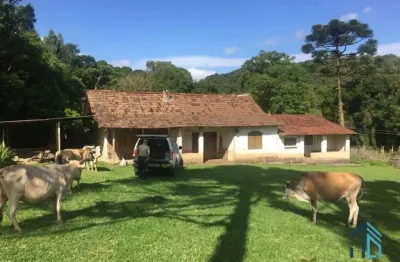 Sítio ótima localização, documentada, 15 alqueires com casas, tijucas do sul - pr