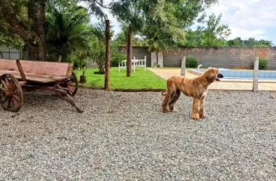 Sitio a venda medindo aprox. 20.000 mil m², no centro de mafra -sc